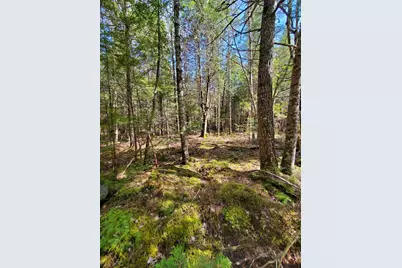0 Howland (Rte 155) Road, Lagrange, ME 04453 - Photo 12