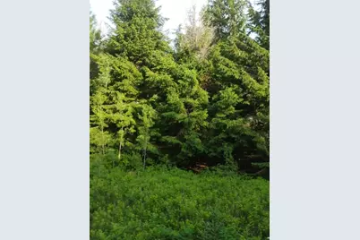 855 County Road, Lubec, ME 04652 - Photo 36
