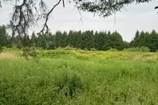 855 County Rd, Lubec, ME 04652 - Photo 38