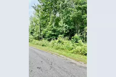 Lot 96 Heath Road, Milbridge, ME 04658 - Photo 4