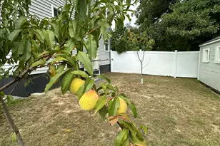 8 Shamrock Ln, Wells, ME 04090 - Photo 72