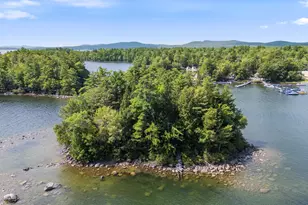 0001-0011 Inner Maple Cove Island Island, Casco, ME 04015 - Photo 1