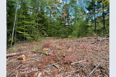 203 Robinson Hill Road, Sebago, ME 04029 - Photo 8