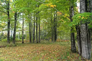 20 Roy's Way, Perry, ME 04667 - Photo 6