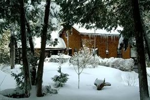 815 Shore Rd, Perry, ME 04667 - Photo 100