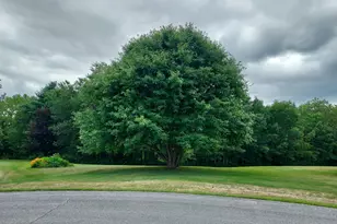 27 Emery Ave, Thomaston, ME 04861 - Photo 1