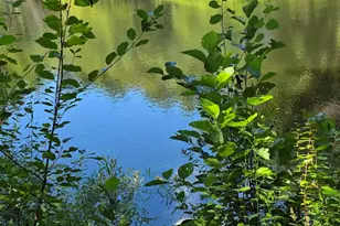 211 State Park Rd, Casco, ME 04015 - Photo 26