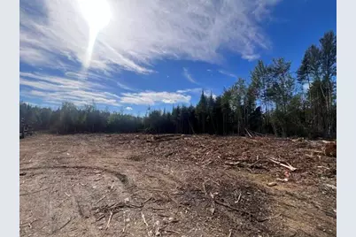 Lot 4.3 Off Estabrook Road, Cary, ME 04471 - Photo 10