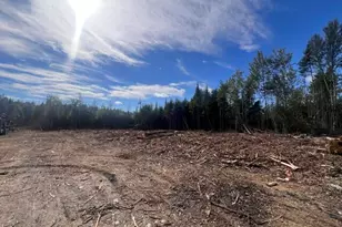 Lot 4 3 Off Estabrook Rd, Cary, ME 04471 - Photo 10