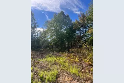 Lot 4.3 Off Estabrook Road, Cary, ME 04471 - Photo 14