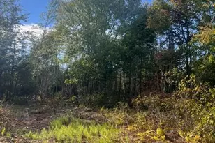 Lot 4 3 Off Estabrook Rd, Cary, ME 04471 - Photo 14