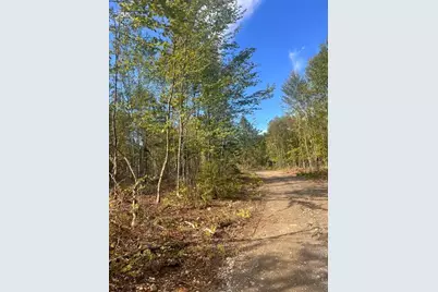 Lot 4.3 Off Estabrook Road, Cary, ME 04471 - Photo 16