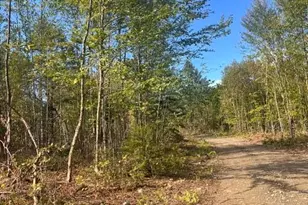 Lot 4 3 Off Estabrook Rd, Cary, ME 04471 - Photo 16