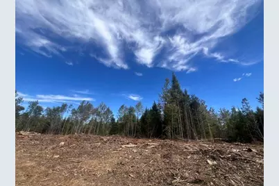 Lot 4.3 Off Estabrook Road, Cary, ME 04471 - Photo 12