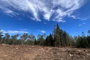 Lot 4 3 Off Estabrook Rd, Cary, ME 04471 - Photo 12