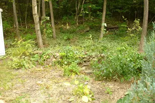 59 Patio Park Ln, Gorham, ME 04038 - Photo 8