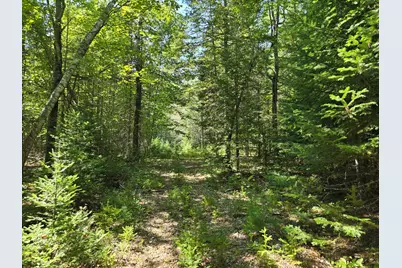 00 French Road, Levant, ME 04456 - Photo 10