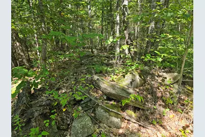 00 French Road, Levant, ME 04456 - Photo 14