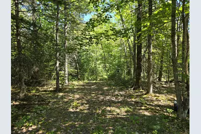 00 French Road, Levant, ME 04456 - Photo 12