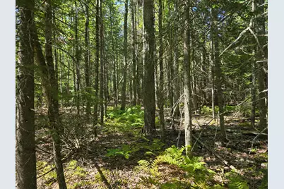 00 French Road, Levant, ME 04456 - Photo 4