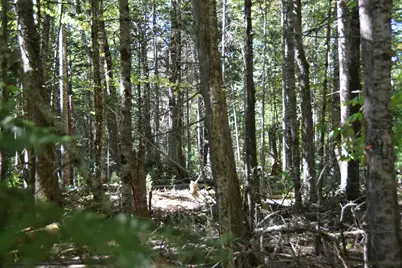 M11 L3-1 Nelson Hill Road, Athens, ME 04912 - Photo 16