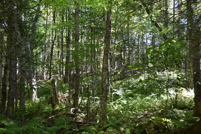 M11 L3-1 Nelson Hill Road, Athens, ME 04912 - Photo 10
