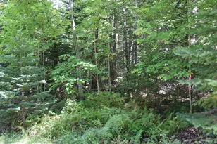 M11 L3-1 Nelson Hill Rd, Athens, ME 04912 - Photo 1
