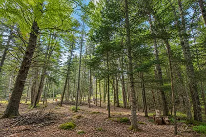 351 N Deer Isle Road, Deer Isle, ME 04627 - Photo 12