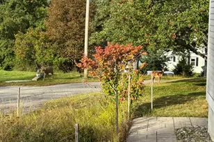 16 Bartlett St, Machias, ME 04654 - Photo 50