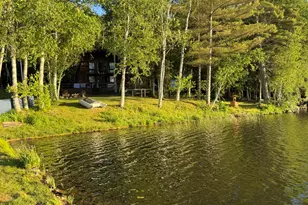 7 Birch Island, Saint Albans, ME 04971 - Photo 126
