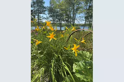 7 Birch Island, Saint Albans, ME 04971 - Photo 128