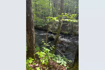 Lot 44 Rolfe Road, Harrison, ME 04040 - Photo 16