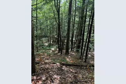 Lot 44 Rolfe Road, Harrison, ME 04040 - Photo 14