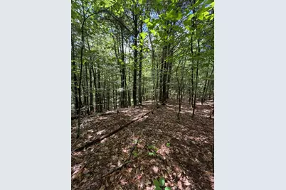 Lot 44 Rolfe Road, Harrison, ME 04040 - Photo 12