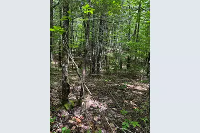 Lot 44 Rolfe Road, Harrison, ME 04040 - Photo 18