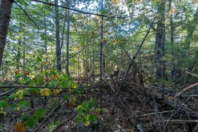 Tbd West Road, Waterboro, ME 04087 - Photo 10