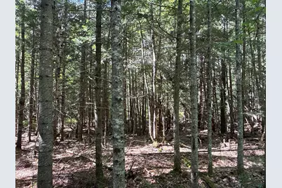 430 Townhouse Road, Sangerville, ME 04479 - Photo 30