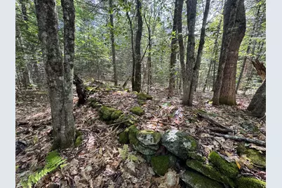 430 Townhouse Road, Sangerville, ME 04479 - Photo 22