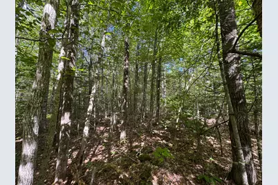430 Townhouse Road, Sangerville, ME 04479 - Photo 24