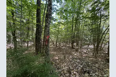 430 Townhouse Road, Sangerville, ME 04479 - Photo 28