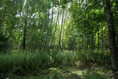 238 Smithton Road, Freedom, ME 04941 - Photo 14