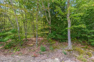 8 Hayford Hill Ln, Hartford, ME 04220 - Photo 54