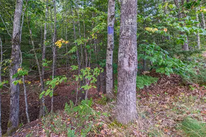 8 Hayford Hill Lane, Hartford, ME 04220 - Photo 56
