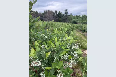 571 Main Street, Monmouth, ME 04259 - Photo 8