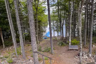 Lot 114 Long Lake Rd, Wesley, ME 04686 - Photo 8