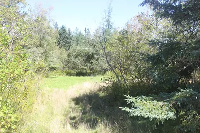 193 Golding Road, Perry, ME 04667 - Photo 1