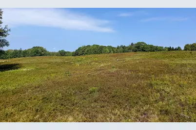 Lot 14 Off Bartlett Street, Machias, ME 04654 - Photo 6