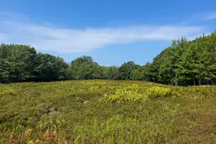 Lot 14 Off Bartlett St, Machias, ME 04654 - Photo 1
