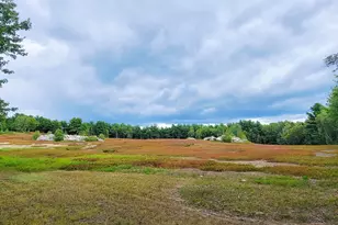 441 Eastbrook Rd, Eastbrook, ME 04634 - Photo 48