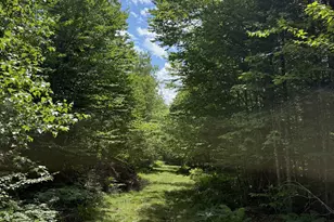 133 Smith Rd, Brownville, ME 04414 - Photo 8